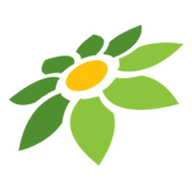 LINK MAXWIN98